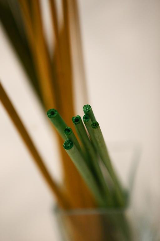 Apartment Green Tea Budapest Center Экстерьер фото